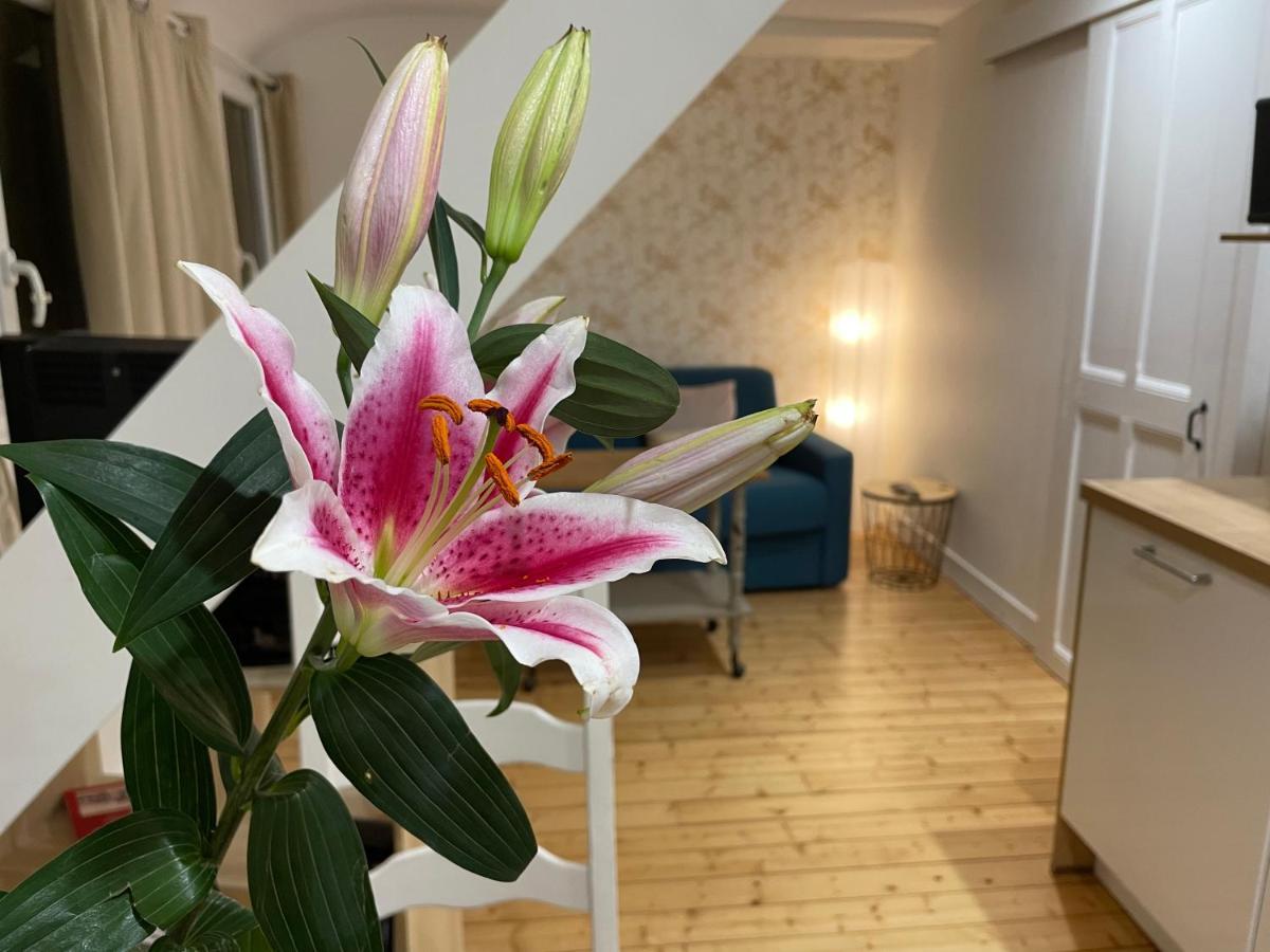 Houlgate Appartement La Briarde Εξωτερικό φωτογραφία
